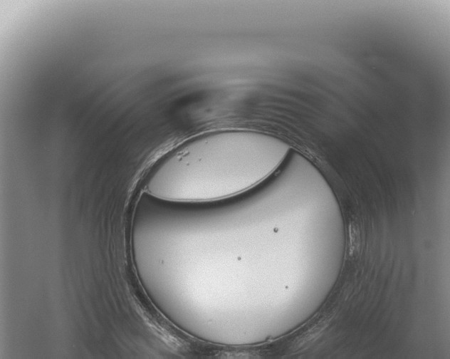 X0000060570349200511101635