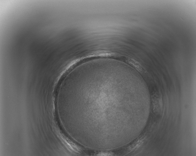 X0000060570350200511101635