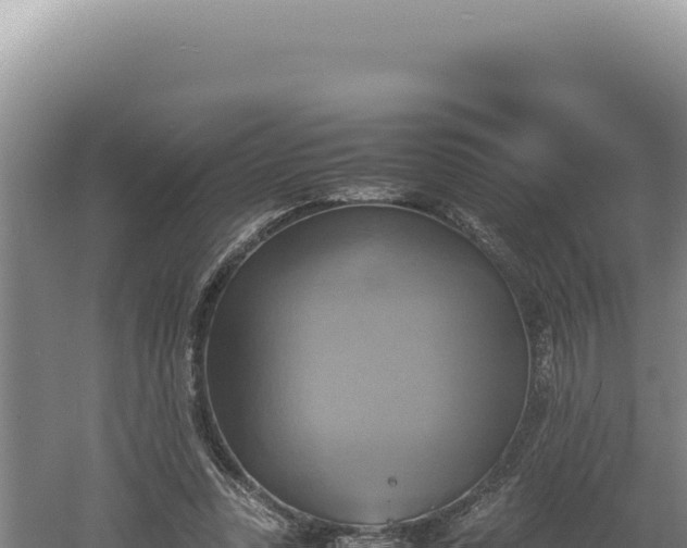 X0000060570351200511101635