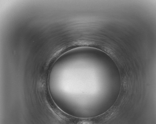 X0000060570352200511101635