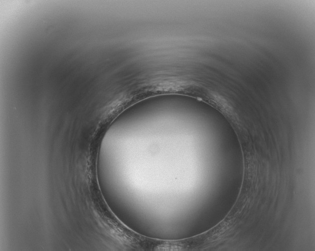 X0000060570354200511101635