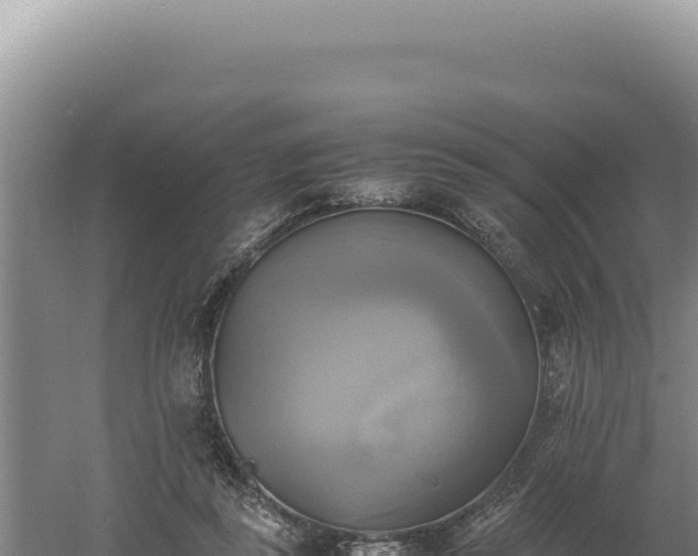 X0000060570355200511101635