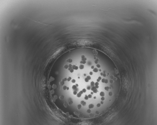 X0000060570356200511101636