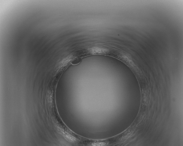 X0000060570357200511101636