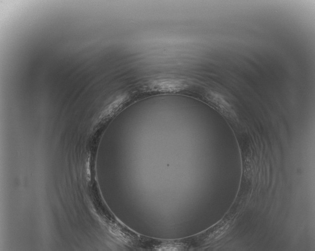 X0000060570358200511101636