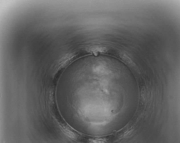 X0000060570359200511101636