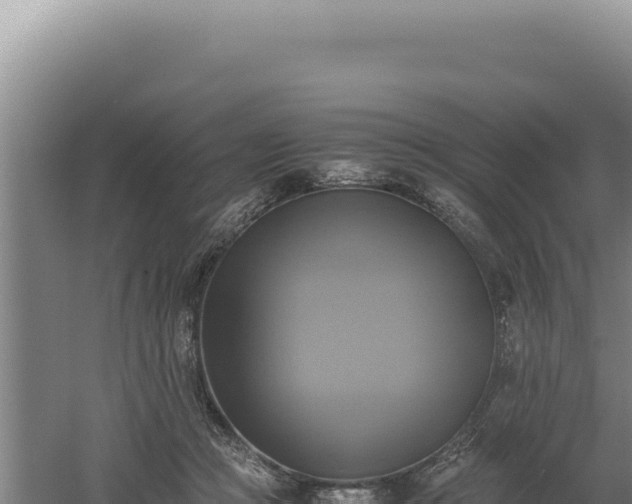 X0000060570361200511101636