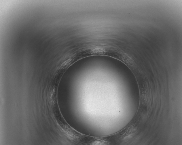 X0000060570364200511101636