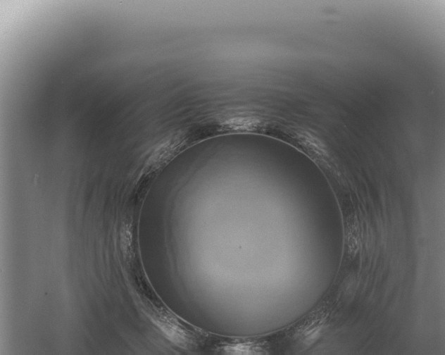 X0000060570365200511101636