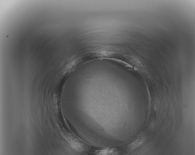 X0000060570366200511101636