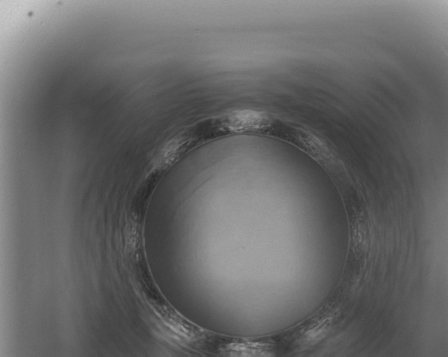 X0000060570367200511101636