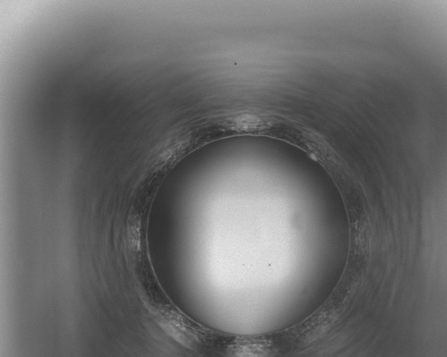 X0000060570368200511101636