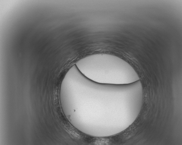 X0000060570369200511101636