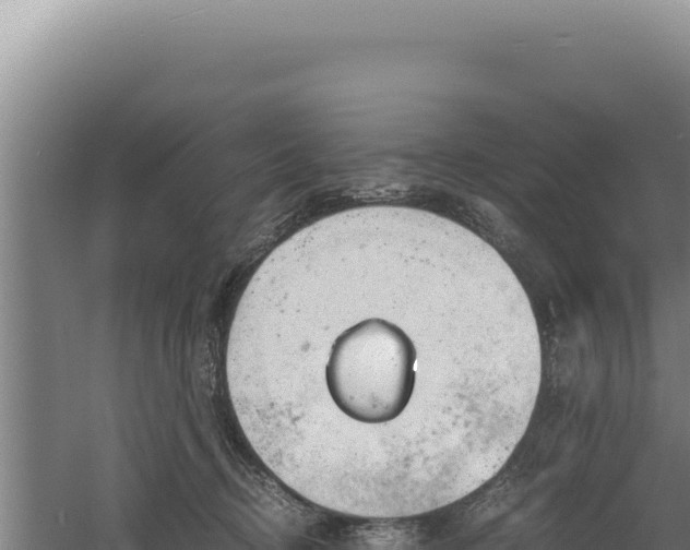 X0000060570370200511101636