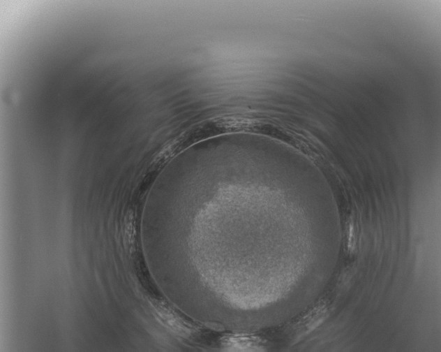 X0000060570372200511101636