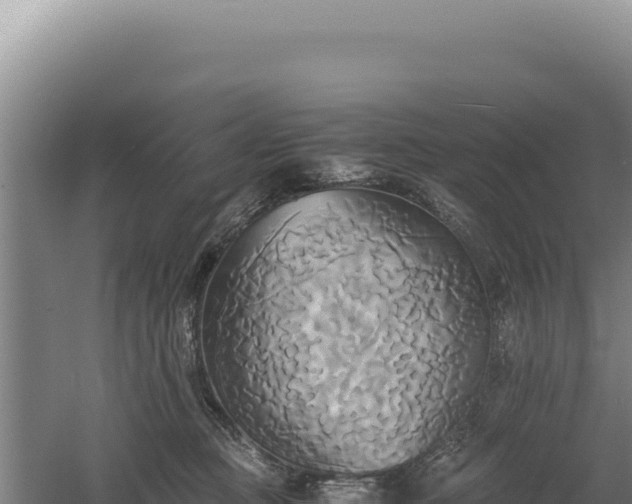 X0000060570373200511101636