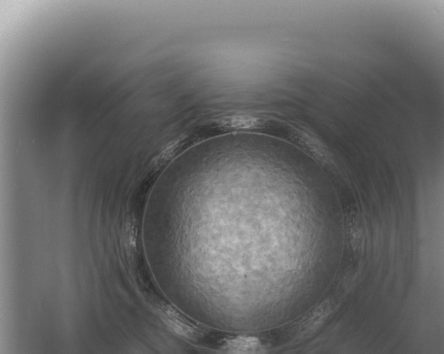 X0000060570374200511101636