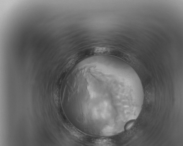 X0000060570375200511101636