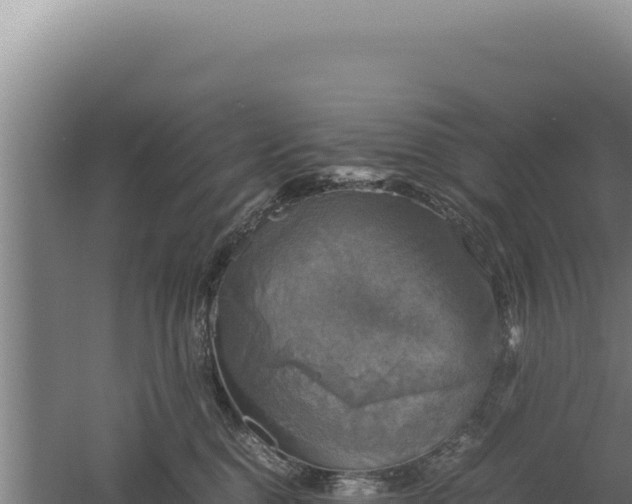 X0000060570376200511101636