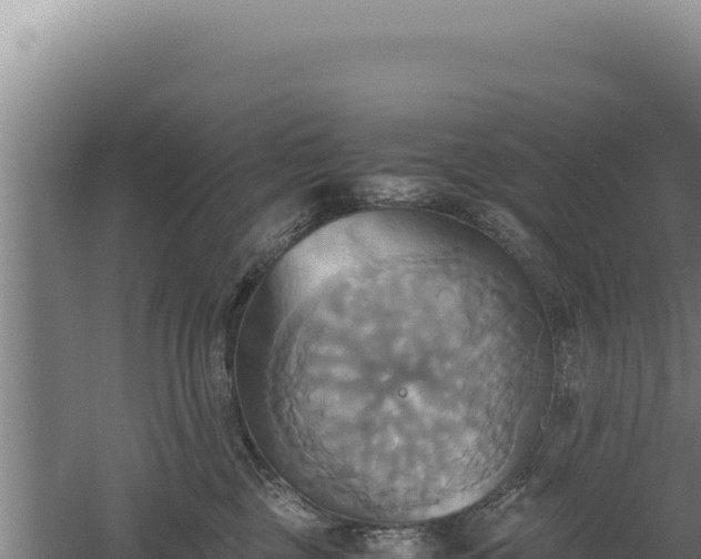 X0000060570377200511101636