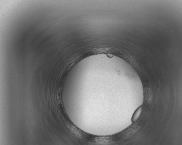 X0000060570378200511101636