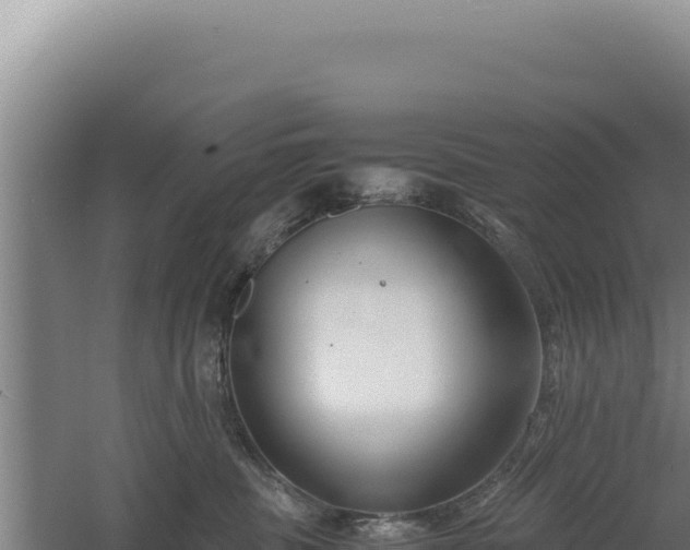 X0000060570379200511101636