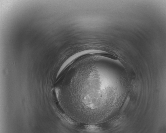 X0000060570380200511101636