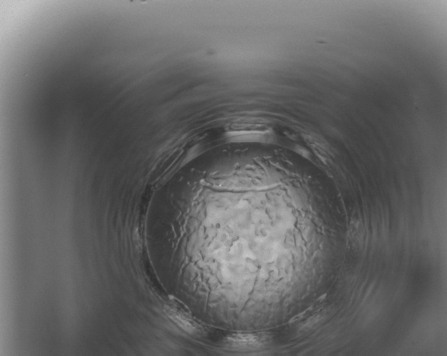 X0000060570381200511101636