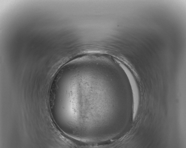 X0000060570385200511101635