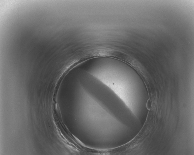 X0000060570386200511101635