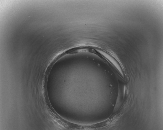 X0000060570387200511101635