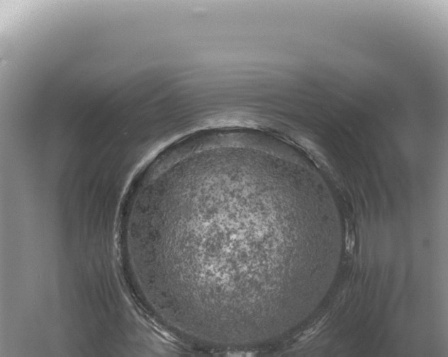 X0000060570388200511101635