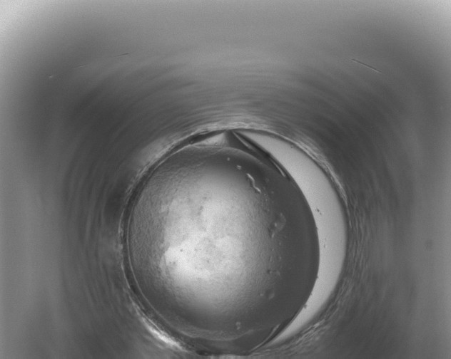 X0000060570389200511101635