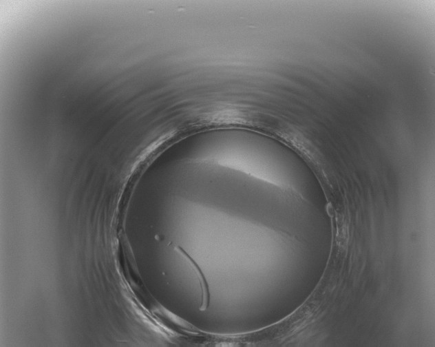 X0000060570390200511101635