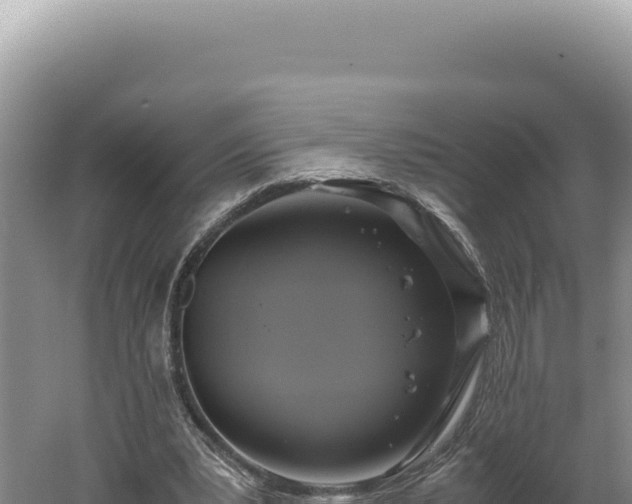 X0000060570391200511101635