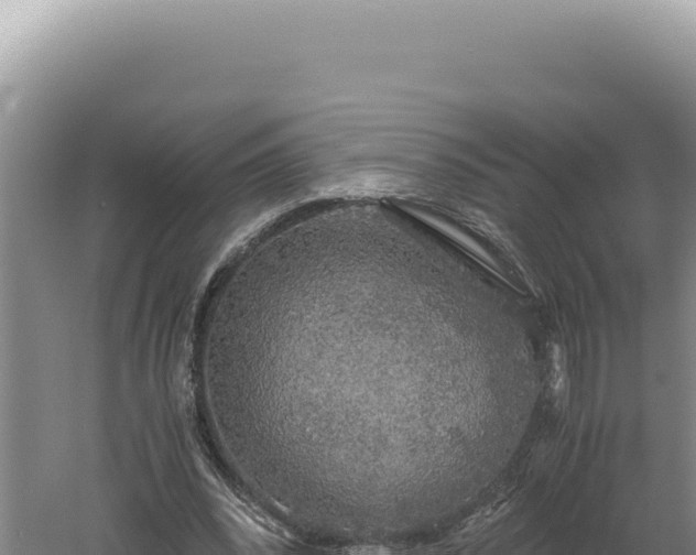 X0000060570392200511101635