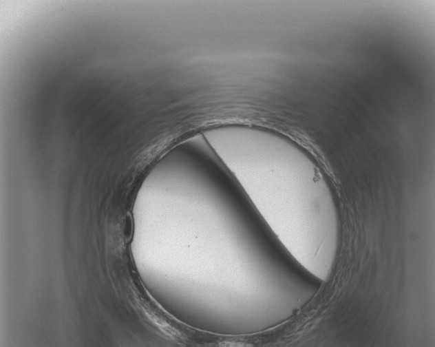 X0000060570393200511101635