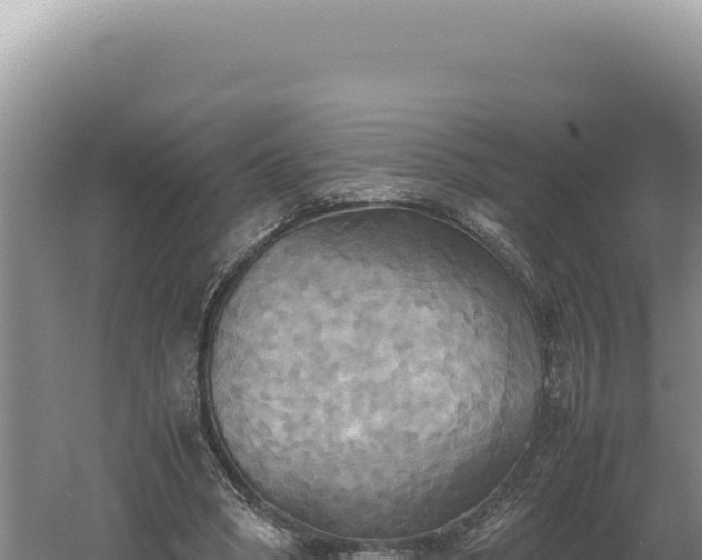 X0000060570394200511101635