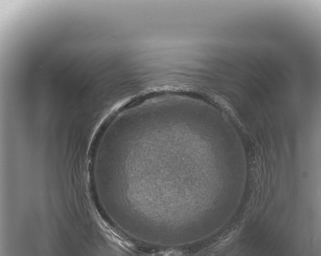 X0000060570395200511101635