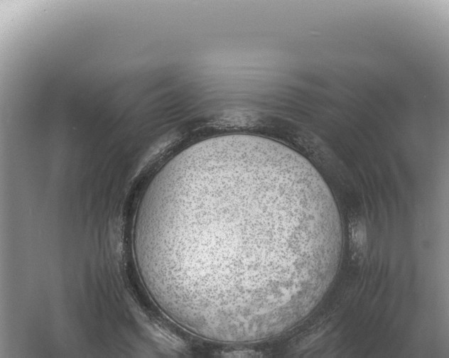 X0000060570396200511101635