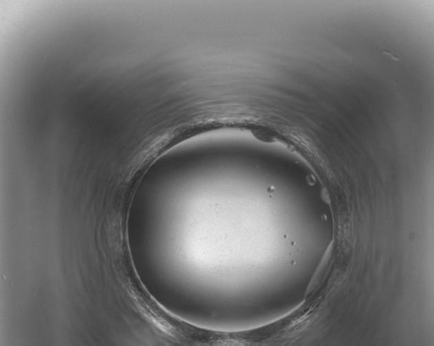 X0000060570397200511101635