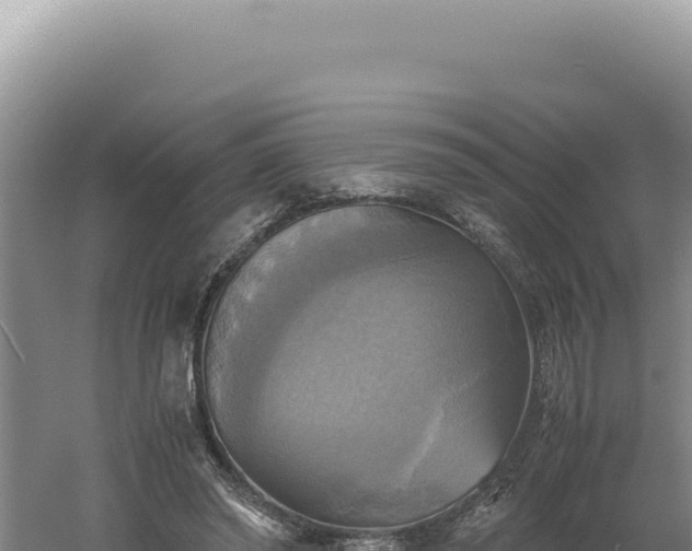 X0000060570398200511101635