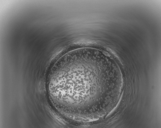 X0000060570399200511101635