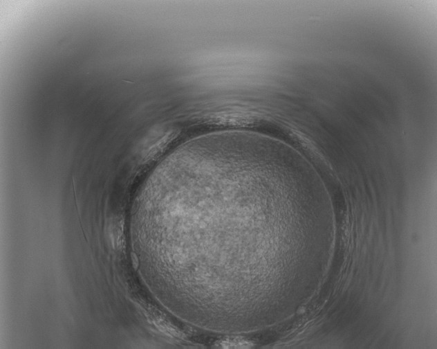 X0000060570403200511101635