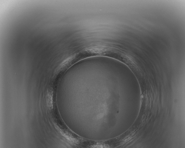 X0000060570404200511101635