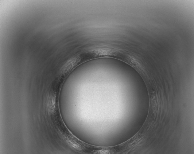 X0000060570406200511101635