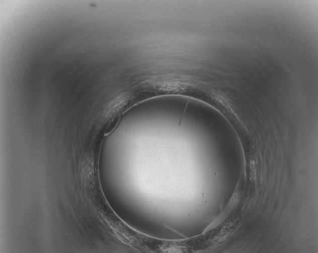 X0000060570407200511101635