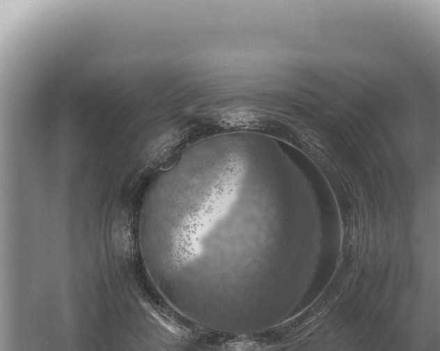 X0000060570408200511101635