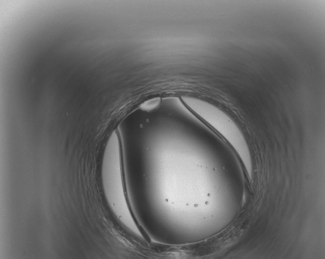 X0000060570411200511101635