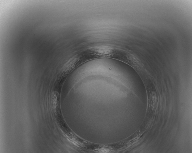 X0000060570412200511101635